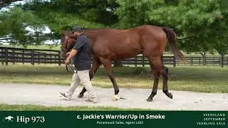 Hip 973- Jackie's Warrior x Up In Smoke '24 Colt