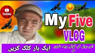  My Five VLOG