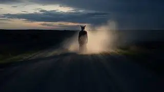 El Nahual del camino de tierra aparecía siempre antes de que los animales surgieran muertos