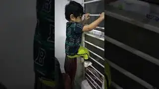 Areeba Junaid Climbing window