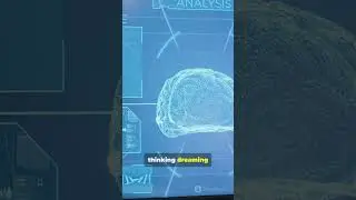 Your Brain Uses More Power Than a Light Bulb!