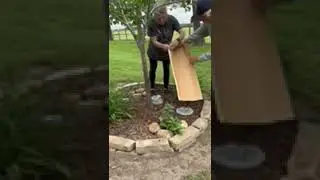 Installing Tree Guard