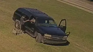 Brazen dog theft caught on camera