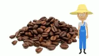 Direct trade coffee, fair trade coffee, helping change the world