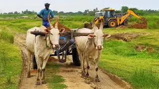Bullock cart fully loaded sand by JCB 3dx machine | jcb bullock cart