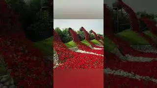 Miracle Garden Dubai, Natural Flower Garden | Natural Beauty #miraclegarden #flowers