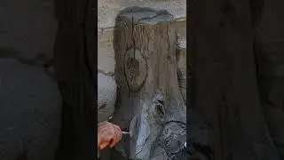 pohon relief
