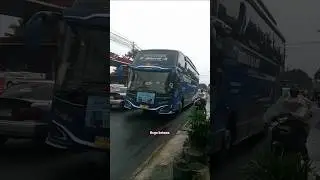 #bustelolet #busmania #basuri #teloletbasuri #buspariwisata