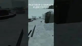 РАЗГОВОР О ВАЖНОМ И ДВЕ ГАУСКИ #stalcraft