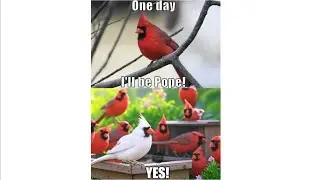 Catholic Memes While You Wait For The Conclave