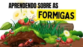 Aprendendo sobre as FORMIGAS/ As formigas s&atilde;o um grande exemplo / V&iacute;deo Infantil sobre as formigas