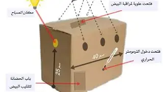 كيف تصنع فقاسة بيض بنفسك بأبسط الطرق وأقل التكاليف مع (حمزة من ولاية عين الدفلى الجزائر الشقيقة) 🐣🐣🐣