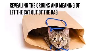 Revealing the Origins and Meaning of Let the Cat Out of the Bag