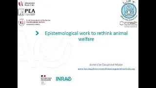 [Anne-Lise Dauphin&eacute;-Morer] Epistemological work to rethink welfare