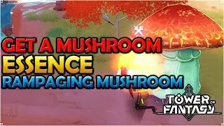 Get A Mushroom Essence | Rampaging Mushroom Side Mission Tower Of Fantasy
