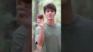Dirt ball dorodango