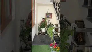 Wait to see the stair decoration with plants 🪴 #gardening #garden #plantlover #stairdesign #plants