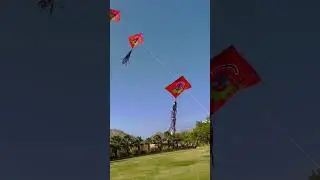 Uttarayan celebration with unique kites at taj Aravalli resort udaipur #uttarayan2023 #viral #reels