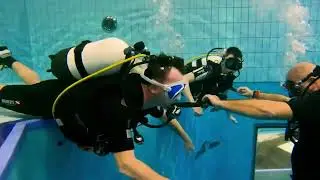 Pot&aacute;pěčsk&eacute; centrum Manta & Seals - Zku&scaron;ebn&iacute; ponor