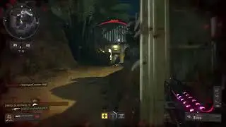 Black ops 4 Live in 200 + ping