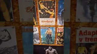 OLDSCHOOL HOME GYM, DOJO