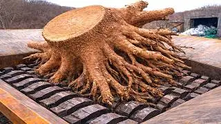 Huge Tree Stump in Giant Industrial Shredder! Extreme Shredding Machine