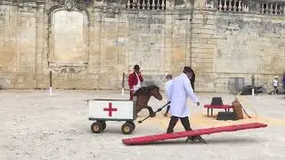 Humour et passion du cheval : sauvetage et bouche &agrave; bouche...