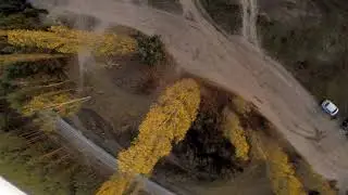 One shot. Autumn Fpv dives after work with @21conceptFPV