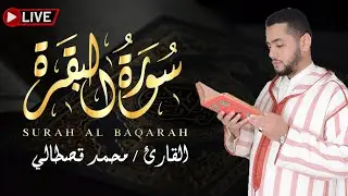 سورة البقرة كاملة .. أجمل تلاوات للقارئ محمد قصطالي على الإطلاق ❤ | بث مباشر