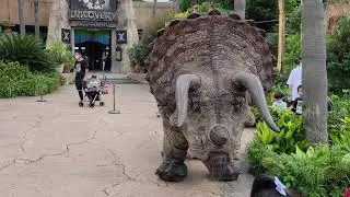 Triceratops encounter at Universal studios Osaka Japan