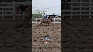 #playvaquejada #vaquejada #viralizou #cavalos #youtubeshorts #vaqueiro #nordeste #youtube #gado