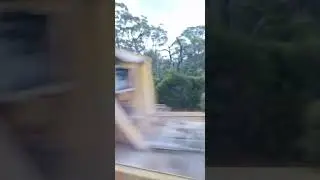 SSR Grain #shorts #seb #trains #train #fypage #fypyoutube #fyp #4u #viral4u #viralvideo #viralshorts