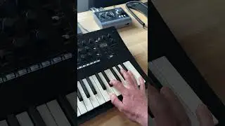 Make Darkwave Techno Loop Korg Minilogue XD #synth #miniloguexd #synthwave #darkwave