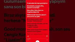 organize- Shevchenko(şarkı s&ouml;zleri)#organize #şarkı