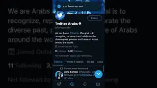 twitter arabs blocked speedrun
