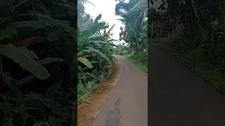jalan pedesaan yg indah you Sal#shorts #jalandesa #music #pedesaan #keindahanalam