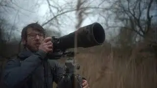 Gitzo Ball Head Series 4 | Tom Mason Short Hero Video