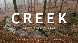 1 HOUR Misty Forest Creek Ambience 💧 Running Water Sounds