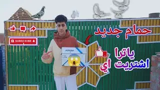 كان لازم اشتري النوع ده من زمان 🥳 | اغلي نوع حمام 💸 مش هتصدق اشتريت اي 🤔#الحمام_مع_العربي