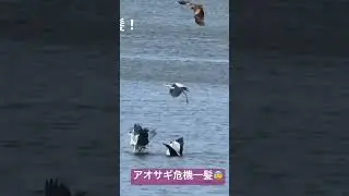 2025年6月11日