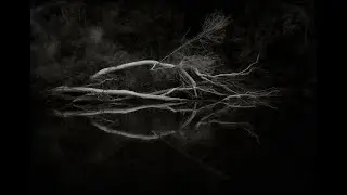 Meet Me In The Woods by Pat Ryan, with music from Death Stare track Reverie.