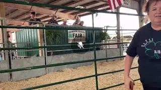 2025 Jackson County Fair Livestock Sale (7-18-25)