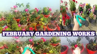 FEBRUARY GARDENING WORKS | IMPORTANT MONTHLY GARDEN WORKS 🏡🌹