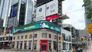 fido&rsquo;s 3D Dog Effect on an LED Billboard @ Toronto&rsquo;s Dundas Square, May 2022