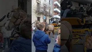2026(11/01). TRES TOMBS A SANT ANDREU