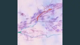 Agua