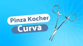 Pinza Kocher Curva