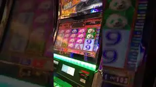 Panda Game 105 free spins !!!!!!