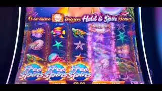 Slotting at Dusk till Dawn Casino, Live play, bonuses, big wins and a little roulette