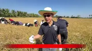 @worklifenews